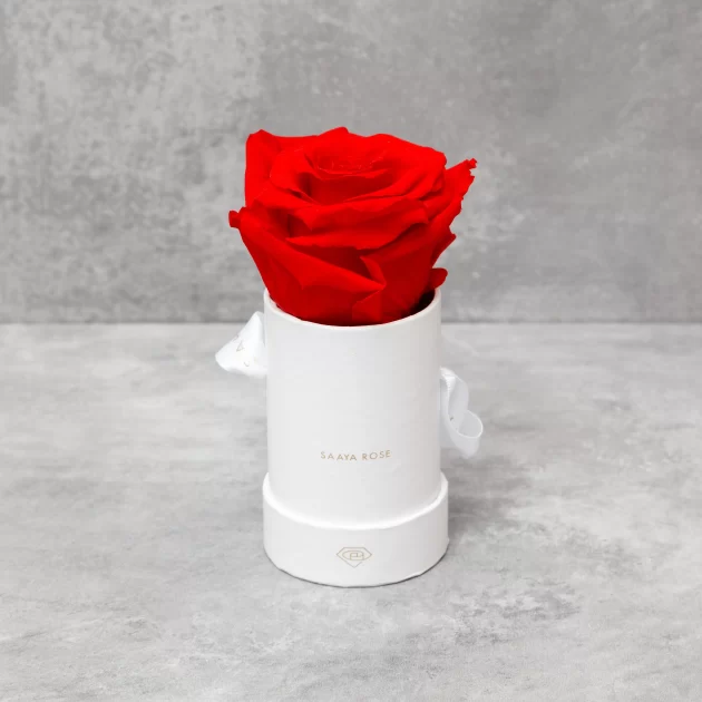 SINGLE ROSE BOX